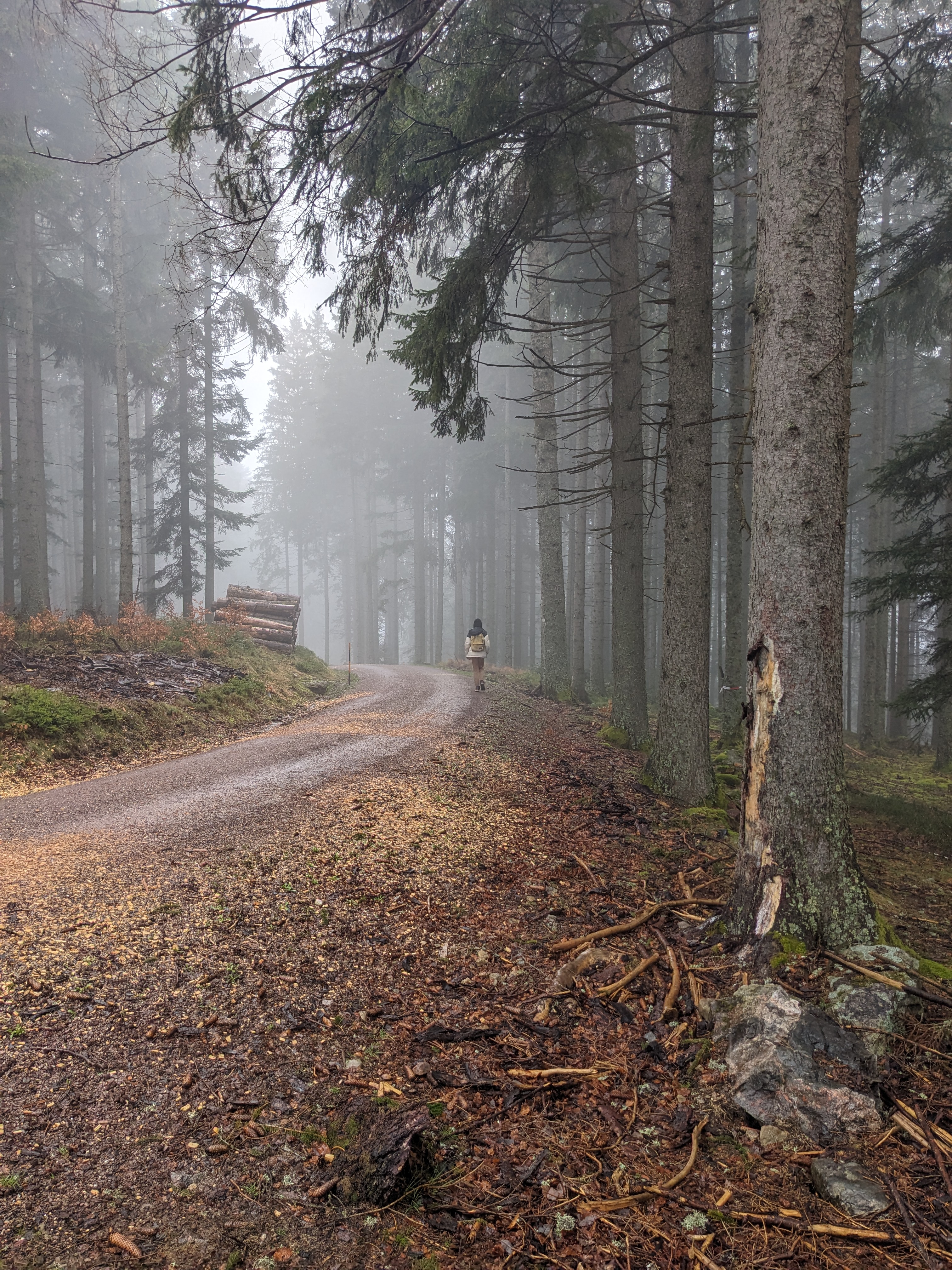My bro in the forest
